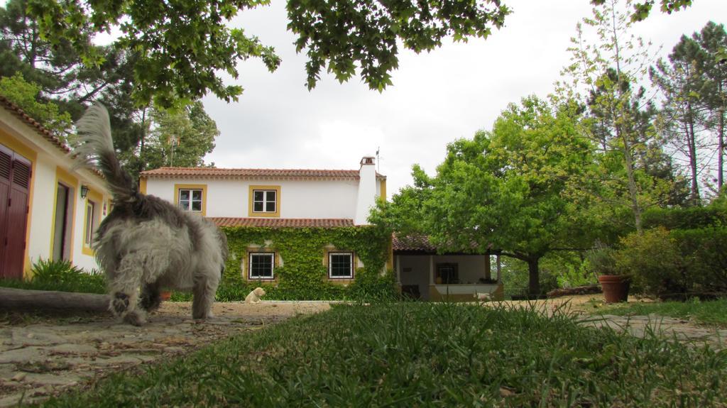 Quinta Do Troviscal Villa Castelo do Bode Exterior photo