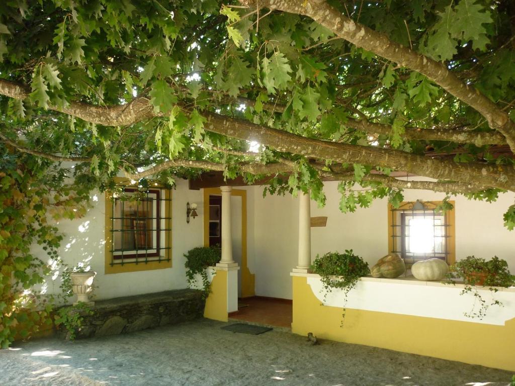 Quinta Do Troviscal Villa Castelo do Bode Exterior photo