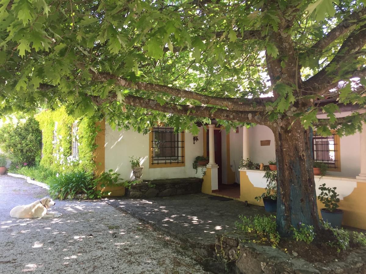 Quinta Do Troviscal Villa Castelo do Bode Exterior photo